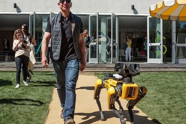 Ông chủ Amazon “gây sốt” khi dắt chó... robot đi dạo