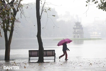 Bình quân 37 người dân Hà Nội có 1 doanh nghiệp