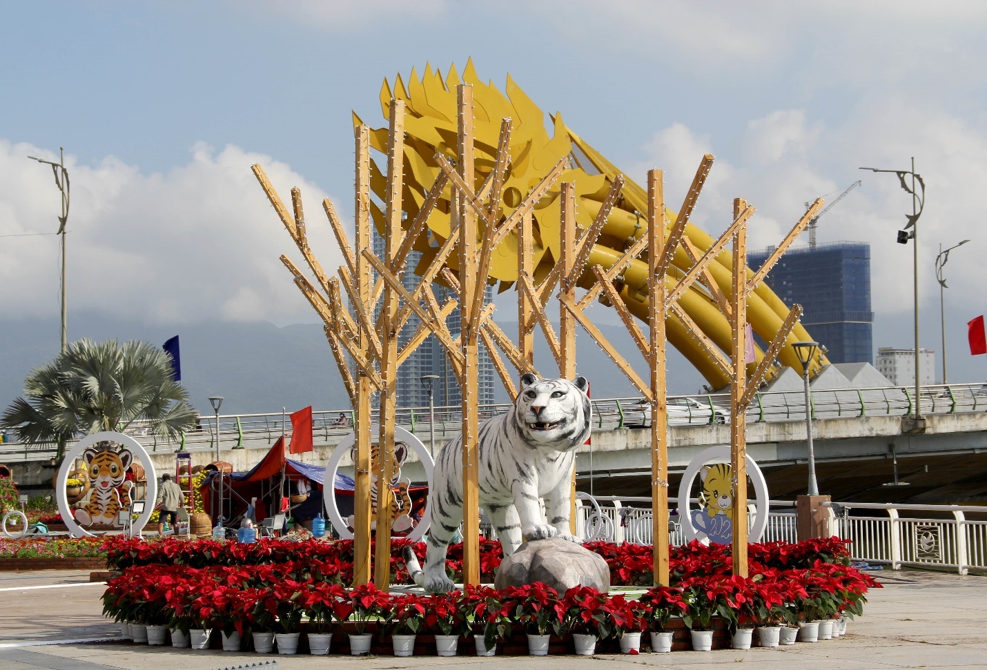 Đàn hổ đủ màu sắc xuống đường hoa Đà Nẵng - 10 Đàn hổ đủ màu sắc xuống đường hoa Đà Nẵng - 10