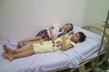 Ăn quả ngô đồng, 9 học sinh nhập viện