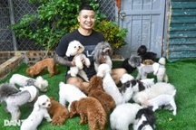 Nuôi loài chó "càng nhẹ càng đắt", 8x Hà Nội sở hữu gia tài tiền tỷ