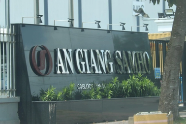 An Giang: Hơn 5.300 công nhân thấp thỏm lo mất việc dịp Tết