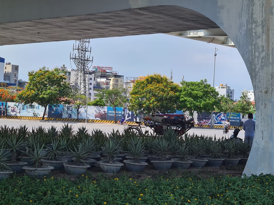 Hải Phòng: Nắng như đổ lửa, người lao động vẫn miệt mài mưu sinh - 7