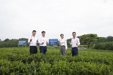 Yêu trà Việt - Cộng đồng kết nối lan tỏa Trà Việt