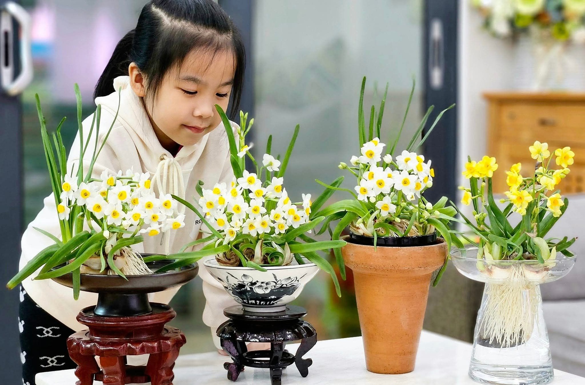 Kỳ công thú chơi hoa nhà giàu, canh thời gian nở đúng đêm giao thừa - 2