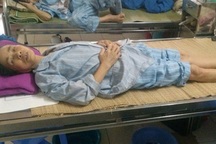 Sốt kéo dài, nguy kịch tính mạng vì côn trùng đốt