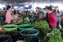 SV khốn khó thời bão giá hậu Tết