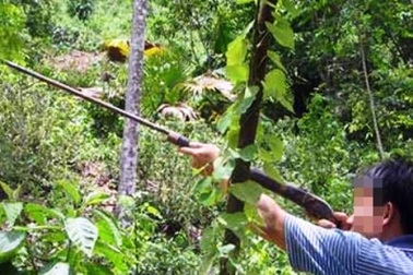 Khởi tố “thợ săn” bắn nhầm người vì tưởng thú rừng