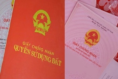 Làm ăn thua lỗ, cặp vợ chồng "nhân bản" sổ đỏ đi lừa đảo nhiều người