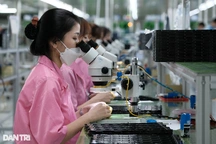 Hơn 147.200 doanh nghiệp được "khai sinh" kể từ đầu năm