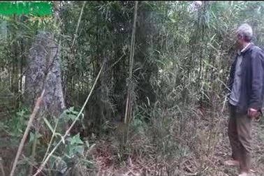 Bí ẩn hàng trăm bia đá cổ