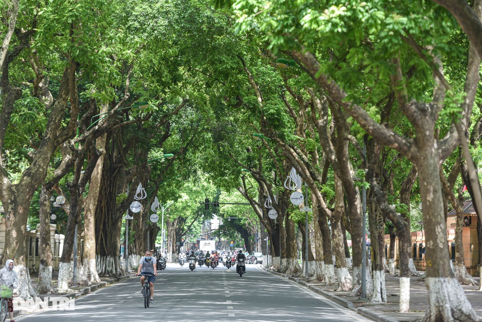 Những con đường giúp giải nhiệt giữa ngày nắng nóng ở Hà Nội - 7 Những con đường giúp giải nhiệt giữa ngày nắng nóng ở Hà Nội - 7