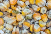 Điểm mặt 6 "kẻ thù" hàng đầu của lá gan