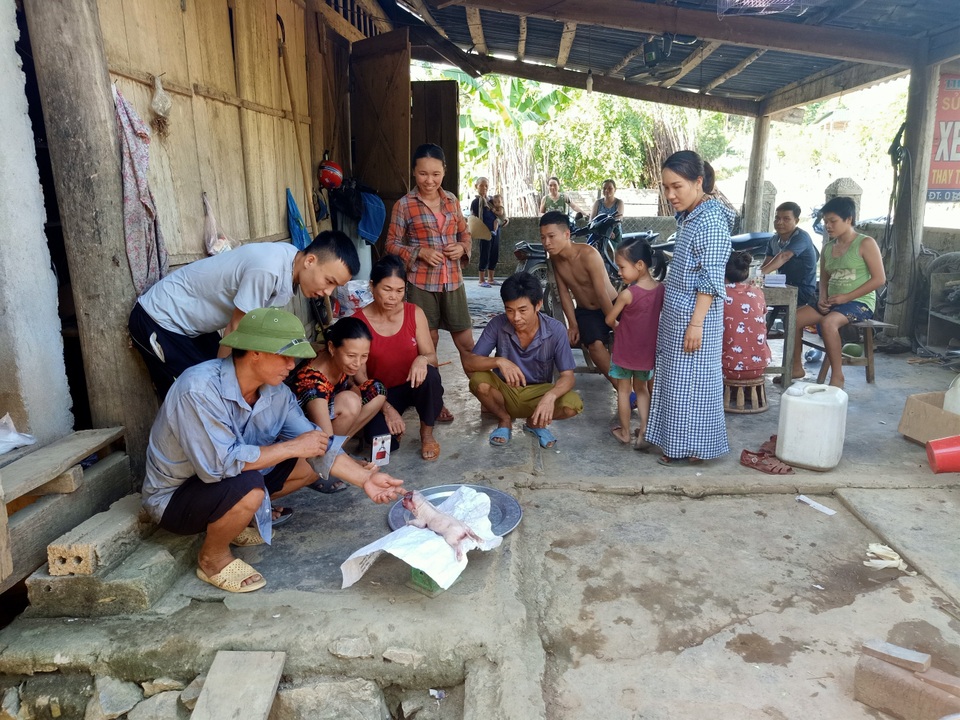 Kỳ dị lợn có vòi, có lông mày như người, chỉ một mắt - 2 Kỳ dị lợn có vòi, có lông mày như người, chỉ một mắt - 2