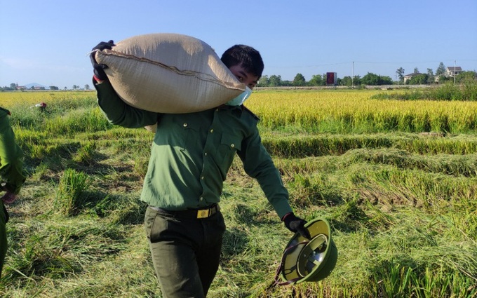 Công an Hà Tĩnh giúp dân vùng dịch thu hoạch lúa