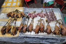 Chuyên gia: "Các nước có chim bay trong phố, Việt Nam chim làm mồi nhậu"