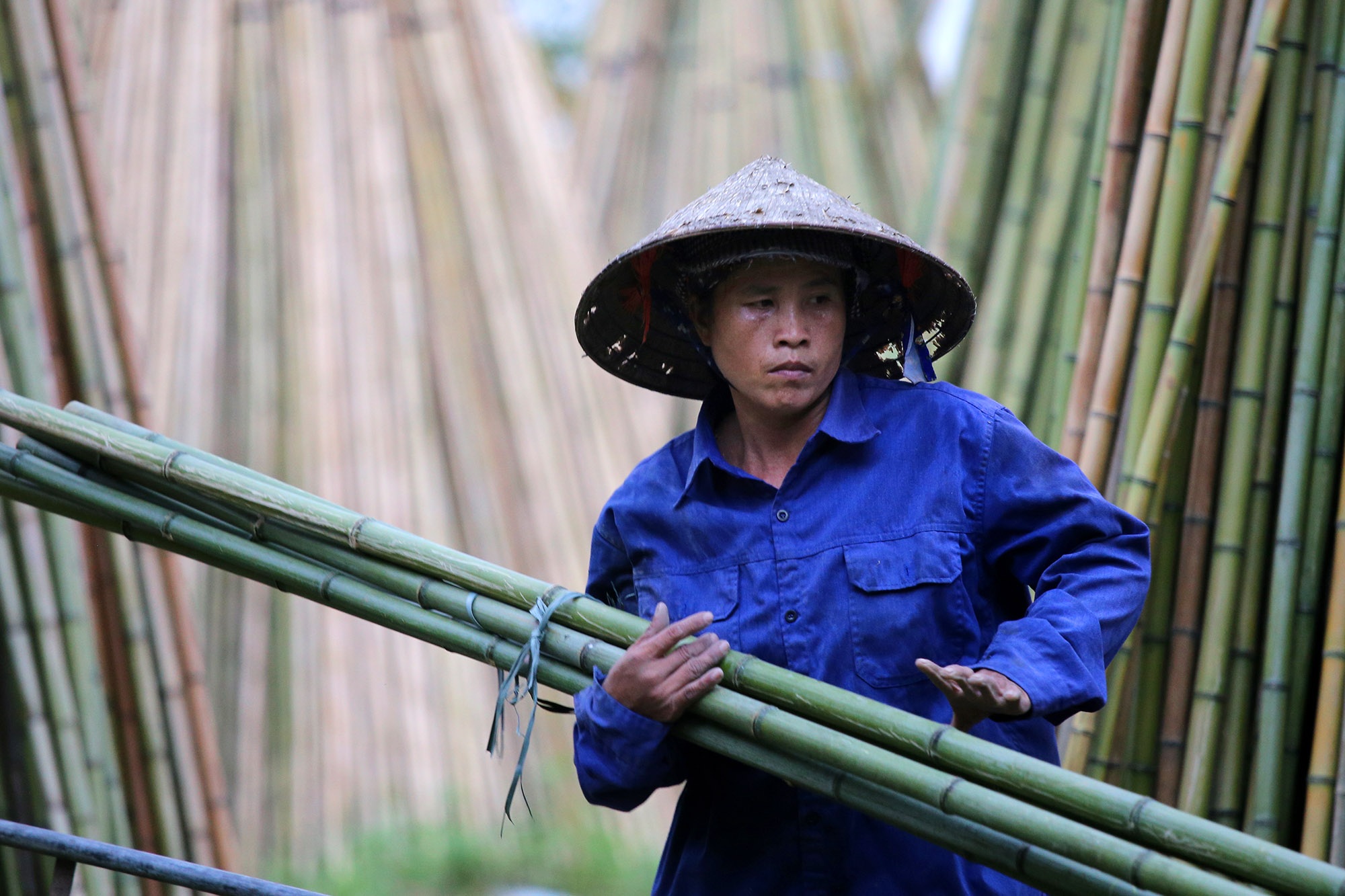 Những phụ nữ làm nghề quanh năm ngâm mình trong nước - 6