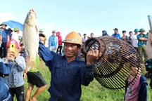 Hàng ngàn người dân đội nắng lội bùn tìm “vận may”