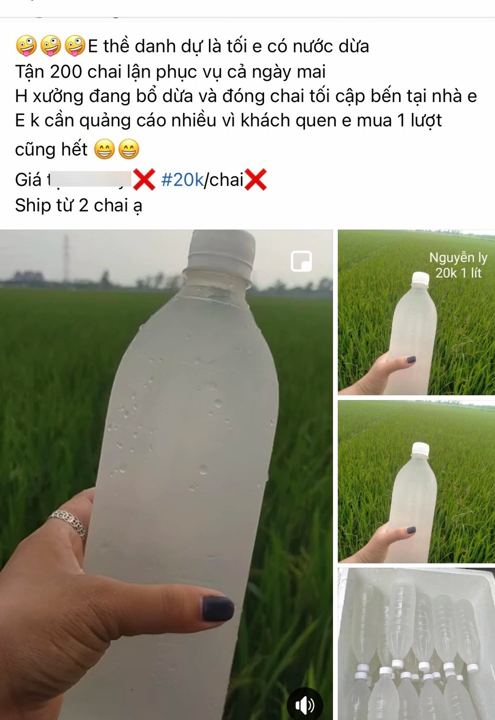 Thực hư về nước dừa tươi siêu rẻ, bán tràn lan 20.000 đồng/lít - 1 Thực hư về nước dừa tươi siêu rẻ, bán tràn lan 20.000 đồng/lít - 1