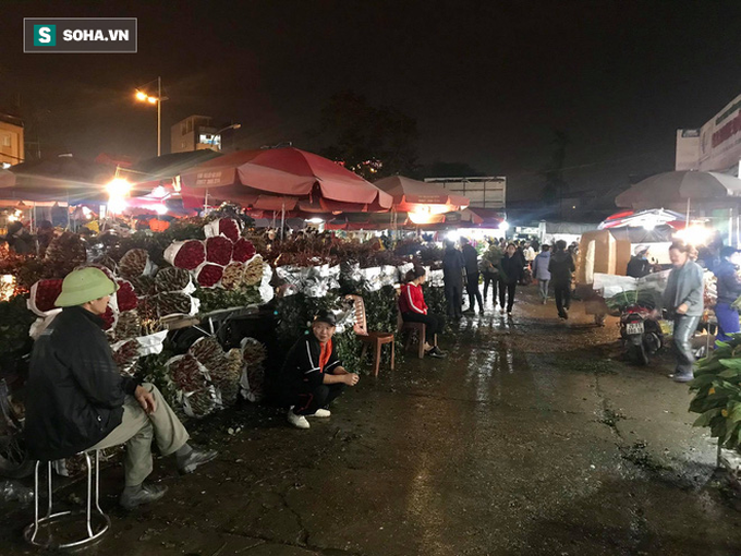 Doanh thu giảm 80%, tiểu thương chợ hoa Quảng An chỉ dám nhập cầm chừng - Ảnh 1. Doanh thu giảm 80%, tiểu thương chợ hoa Quảng An chỉ dám nhập cầm chừng - Ảnh 1.