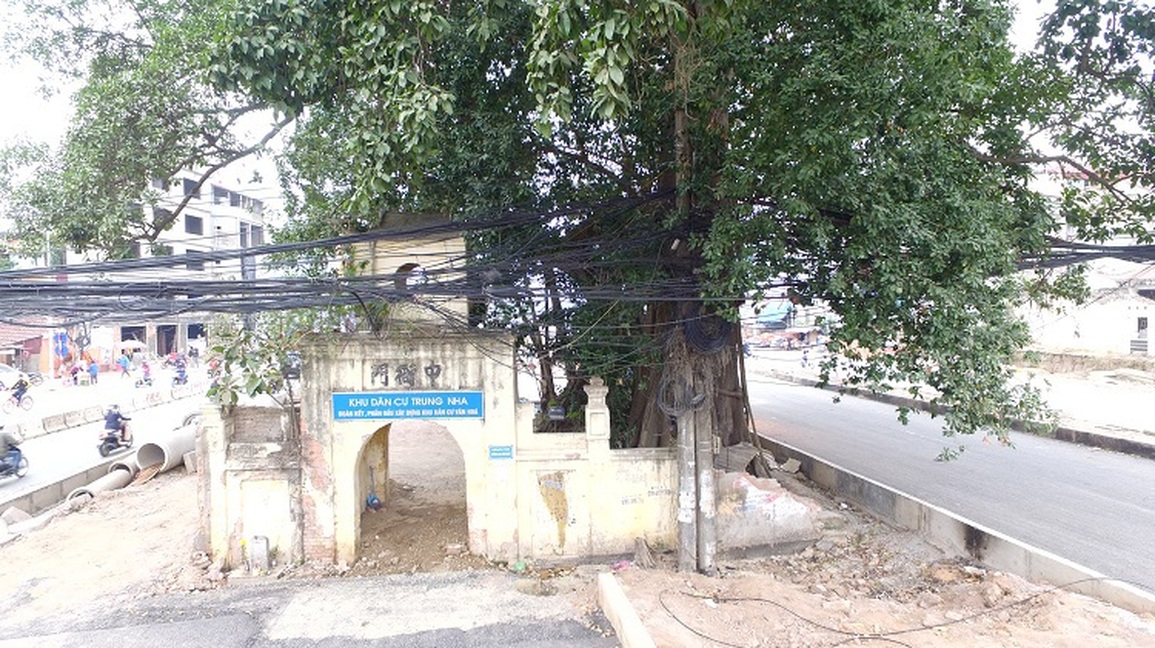 Hà Nội: Cận cảnh cung đường nghìn tỷ "né" cây đa trăm tuổi - 12 Hà Nội: Cận cảnh cung đường nghìn tỷ "né" cây đa trăm tuổi - 12