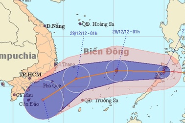 Bão Ngộ Không vào biển Đông, nhiều tàu thuyền gặp nạn