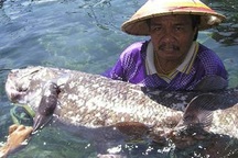 Cá cổ đại 420 triệu năm tưởng như tuyệt chủng, bất ngờ được tìm thấy