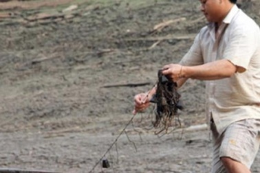 Độc đáo nghề câu "cá tiền triệu" ở miền Tây xứ Nghệ