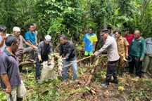Trăn dài gần 7m nuốt chửng người phụ nữ Indonesia