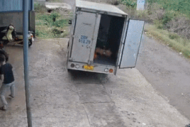 Tài xế bất lực chạy theo xe tải không người lái, nghi do quên cài phanh tay