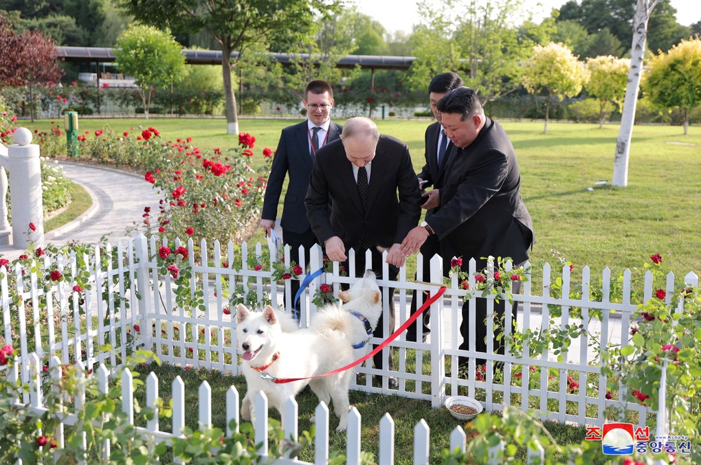 Món quà đặc biệt ông Kim Jong-un tặng Tổng thống Putin - 1