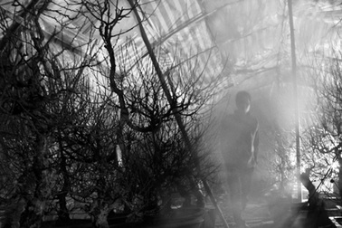 Lạnh lẽo “đào mù”