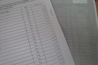 “Độc quyền” đưa thực phẩm vào trường học: Lộ diện nhiều nghi vấn!