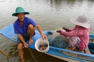 Hẩm hiu nghề câu lưới trong lũ muộn