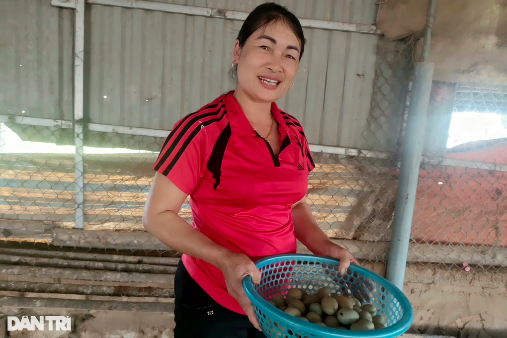 Người phụ nữ khởi nghiệp thành công với loài chim đuôi dài hơn người - 4 Người phụ nữ khởi nghiệp thành công với loài chim đuôi dài hơn người - 4