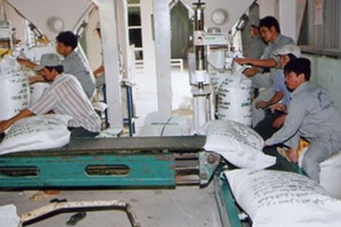 Lo gạo xuất khẩu khó được giá mong đợi