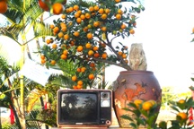 Thủ phủ quất miền Trung được công nhận là làng nghề truyền thống