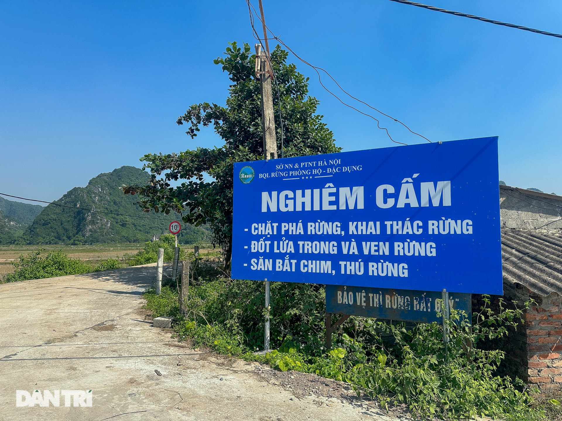 Chim hoang dã bị khâu mắt, trói chân, bán công khai ngay tại Hà Nội - 8 Chim hoang dã bị khâu mắt, trói chân, bán công khai ngay tại Hà Nội - 8