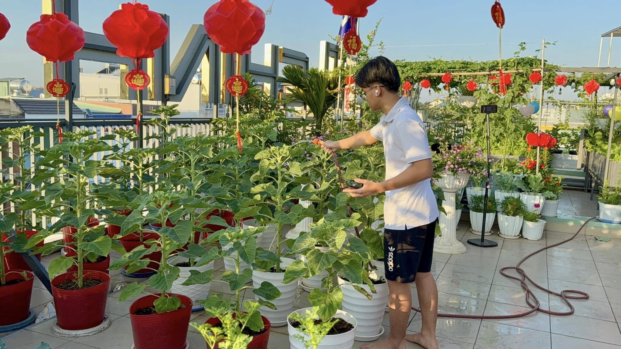Mẹ đảm Đồng Nai trồng rau trái trên sân thượng 100m2 ăn quanh năm - 7 Mẹ đảm Đồng Nai trồng rau trái trên sân thượng 100m2 ăn quanh năm - 7