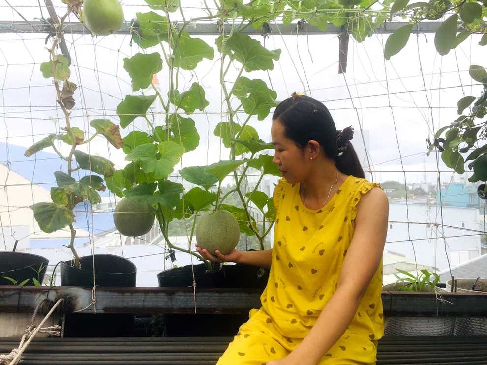 Gia chủ Sài Gòn vác đất lên sân thượng, làm vườn rau trái xanh sum suê - 15
