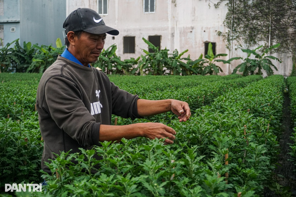 Việc thời vụ ra tiền cho sinh viên kiếm khoản tiêu Tết - 7 Việc thời vụ ra tiền cho sinh viên kiếm khoản tiêu Tết - 7