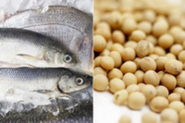 Cá, đỗ tương giúp ngừa ung thư