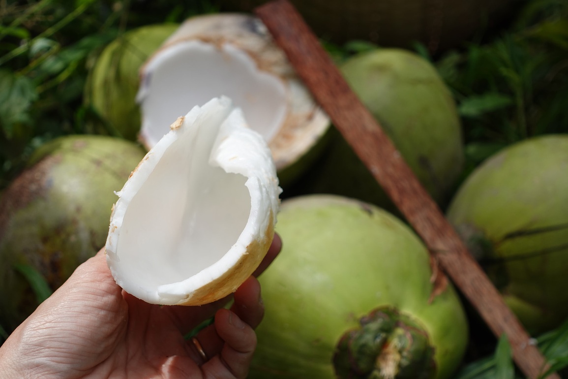 Bí quyết làm mứt dừa non ăn Tết của cô gái Bến Tre - 3 Bí quyết làm mứt dừa non ăn Tết của cô gái Bến Tre - 3