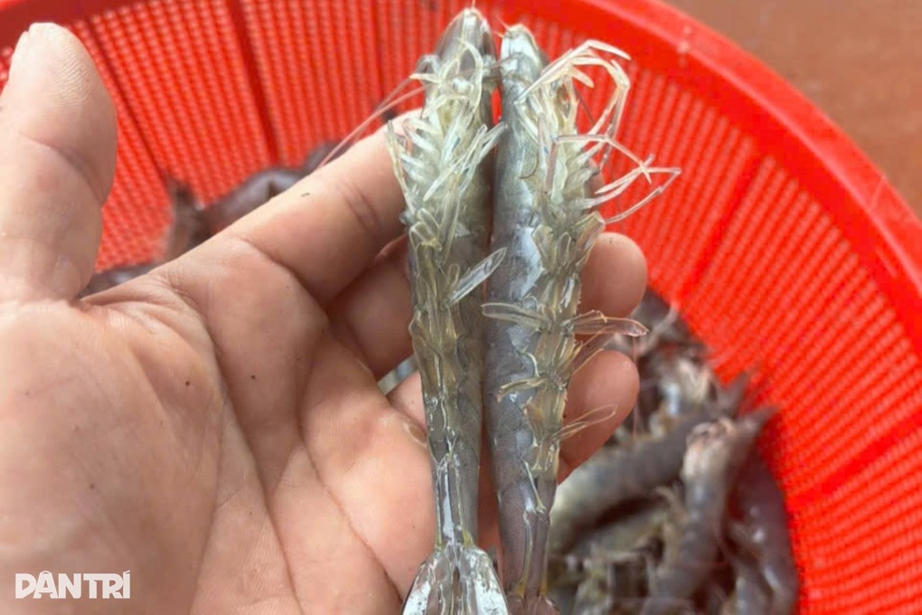 Kỹ sư bỏ công việc ổn định, chọn nghề nhiều rủi ro và cái kết như mơ - 2