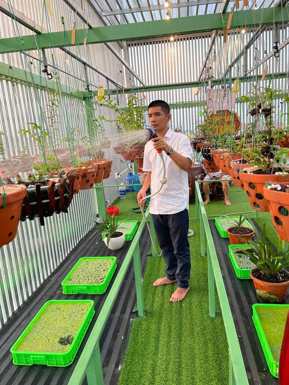 Nghệ nhân Lê Cao Thắng chia sẻ kinh nghiệm chăm sóc lan trong mùa mưa - 3 Nghệ nhân Lê Cao Thắng chia sẻ kinh nghiệm chăm sóc lan trong mùa mưa - 3
