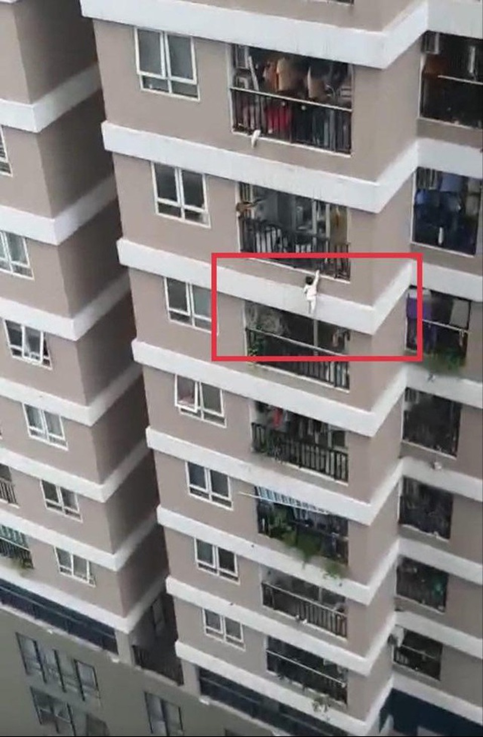 Những người hùng cứu sống những sinh linh bé nhỏ trong khoảnh khắc nguy nan - 1 Những người hùng cứu sống những sinh linh bé nhỏ trong khoảnh khắc nguy nan - 1