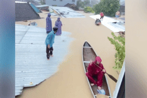 Dân chèo thuyền trên mái nhà, có người chỉ kịp ôm 2 con chó chạy lũ dữ