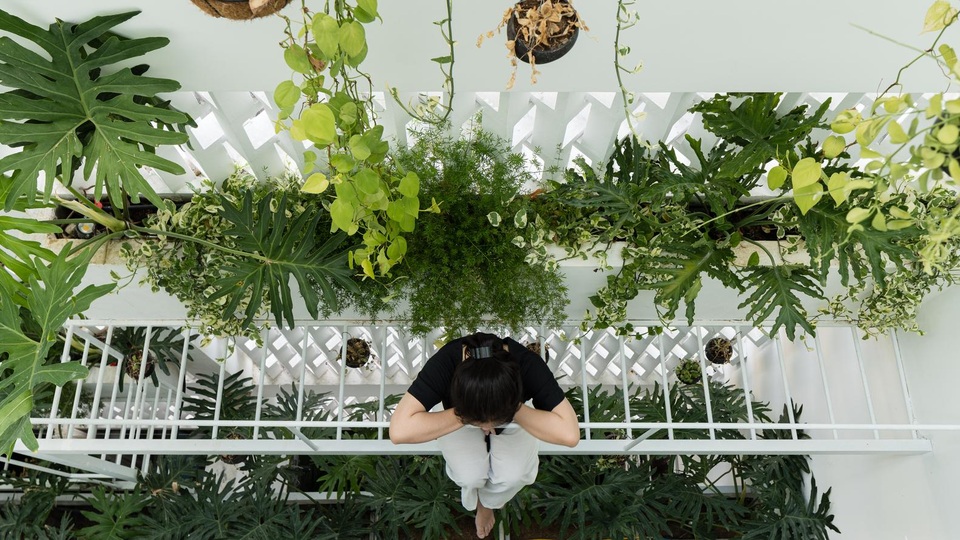 Ngôi nhà có khu vườn treo độc đáo khiến gia chủ ở nhà cả ngày không chán - 7 Ngôi nhà có khu vườn treo độc đáo khiến gia chủ ở nhà cả ngày không chán - 7