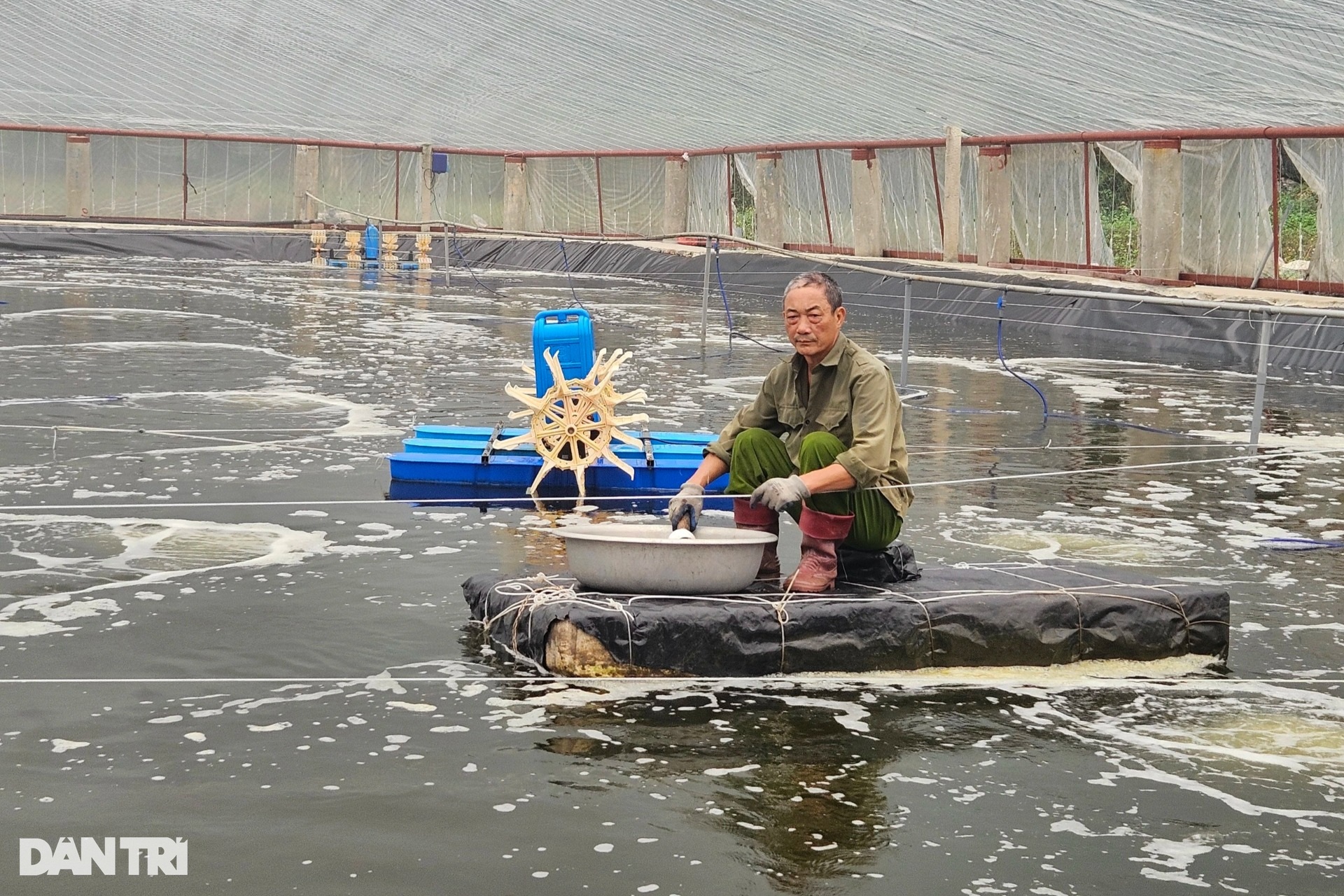 Nghe lời cha, 10 anh em cầm sổ đỏ để đánh bạc với trời - 5