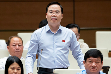 Đại biểu Quốc hội: Cần xóa bỏ được tư duy "không buôn gì lãi bằng buôn đất"